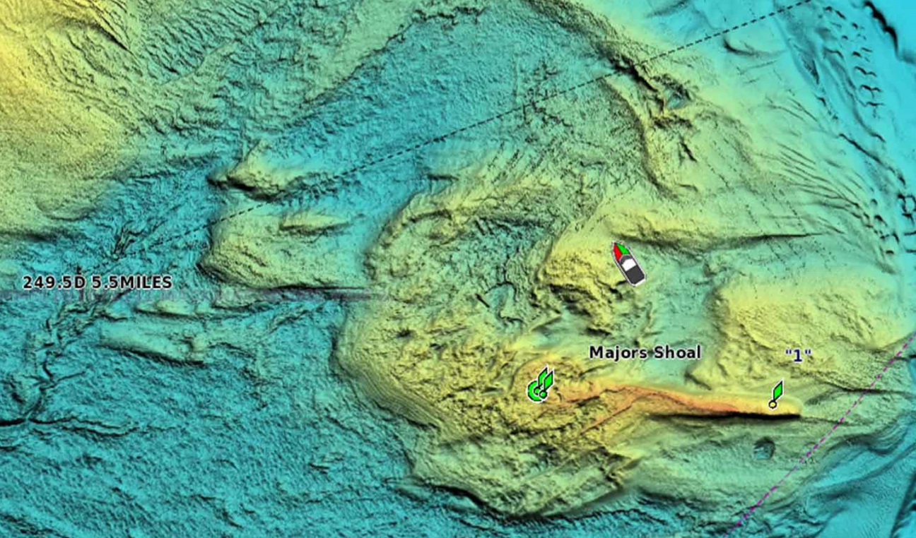Garmin - Mapping