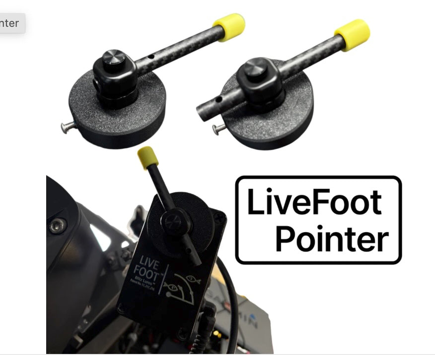 DD26 LIVEFOOT POINTER